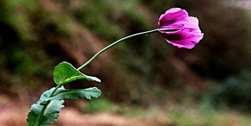 Xbox金会员7月会免公布 《瑞利达》在内共四款游戏